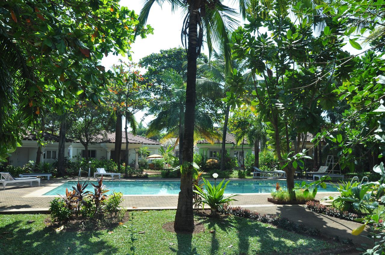 Villa La Casita Cavelossim Exteriör bild